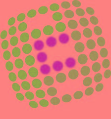 logo_bigger