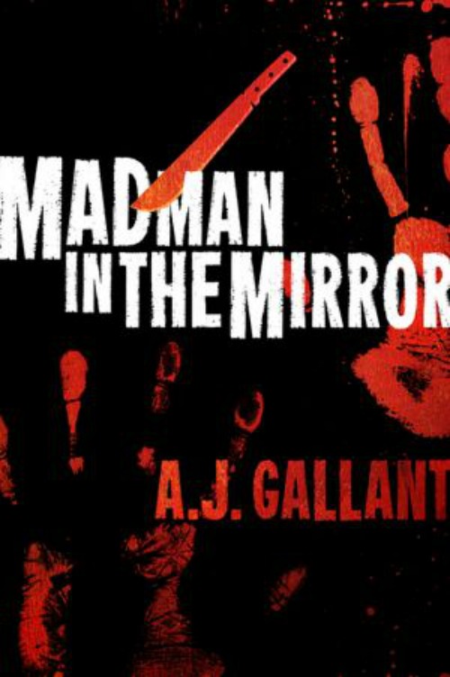 madman_in_the_mirror500