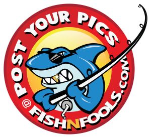 fishfools_logo_gold_tooth_clean_2_small