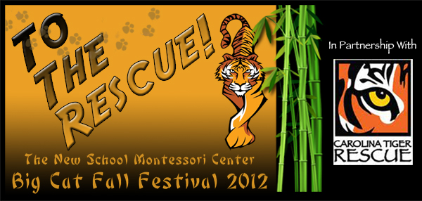 fall_festival_logo_2_banner_wide_600