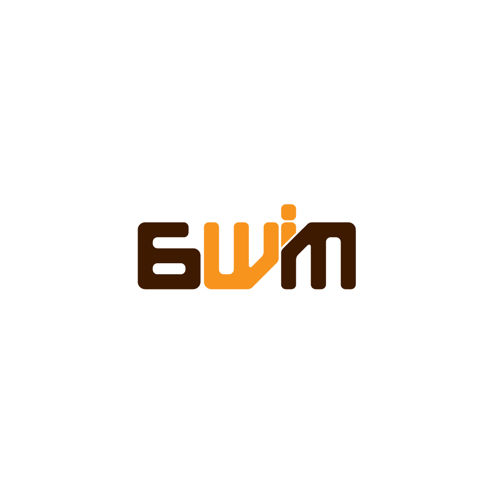 chad_lieberman_ian_6wim_llc_logo