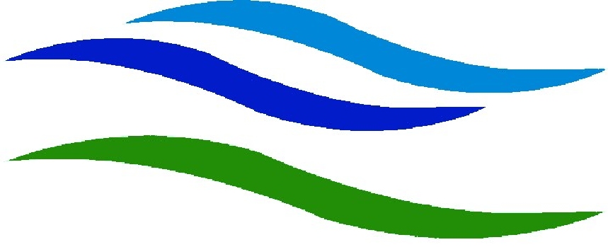 paaviation_logo