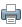 Print Icon