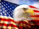 eagle_flag