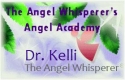 angel_whisperer_angel_academy2.253182132_std