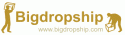 dropship_toplogo