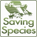 saving_species_logo_ark_square