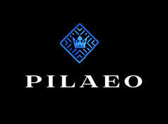 pilaeoluxuryelegantlogo