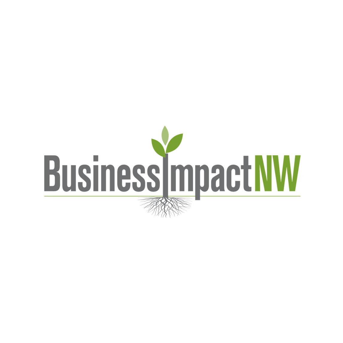 Business Impact NW