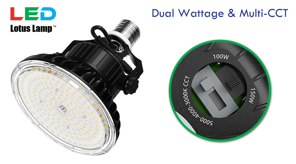 hylitelednexgenlotuslamp