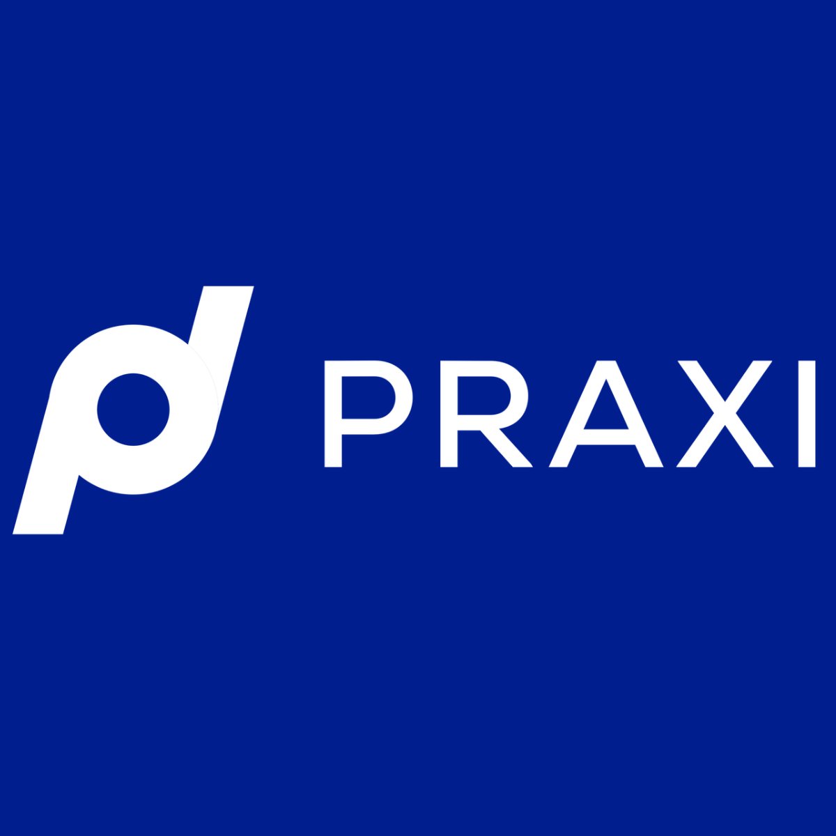 praxilogoformatedforoutdatedwebsites